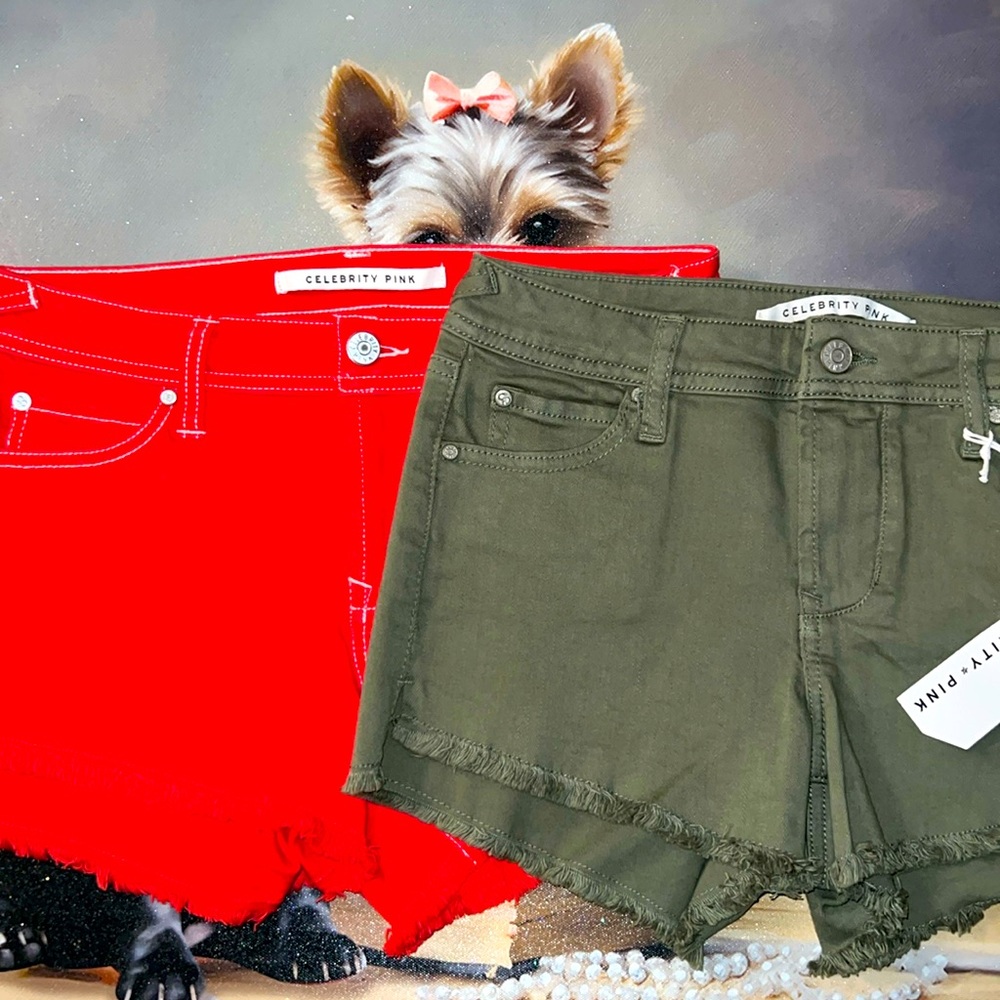 $15 sale for 2 Celebrity Pink Shorts sizes 3 or 9